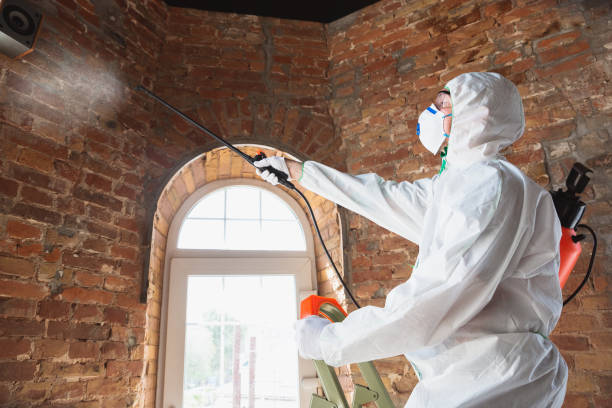 Best Basement water damage restoration  in Caldwell, NJ